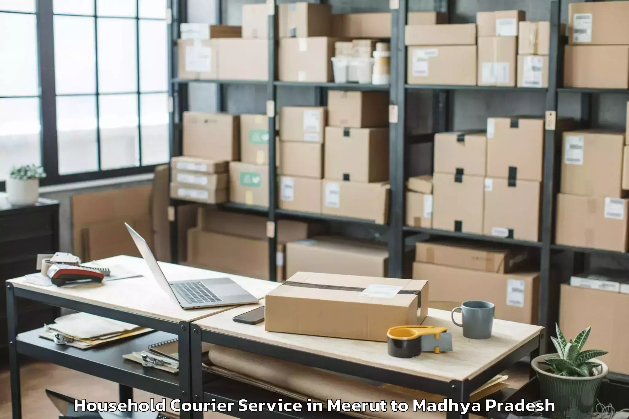 Quality Meerut to Dabra Pichhore Household Courier